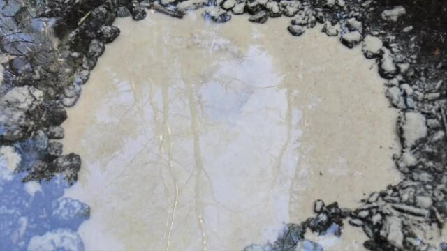 Crystal clear water with bubbling boiling bubbles from an underground source. green trees reflect in the water.