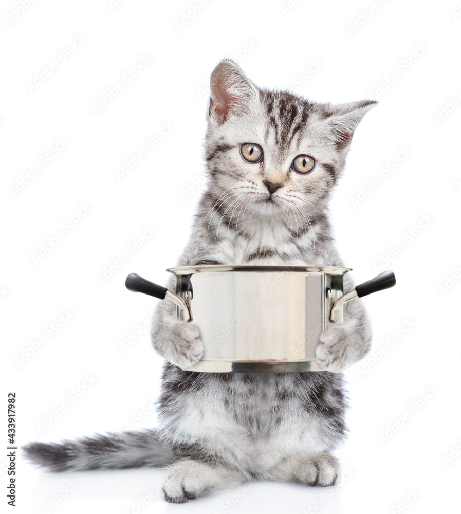 Poster kitten holds a pan and asks a food. isolated on white background