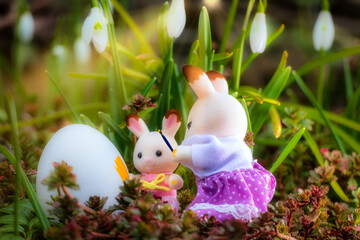 Ostereier f&auml;rben