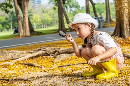 Image of cute girl exploring the nature with magnifying glass outdoors, Child playing in the forest with magnifying glass. Curious kid searching with magnifier on the grass in the park