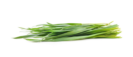 Bunch of green grass.