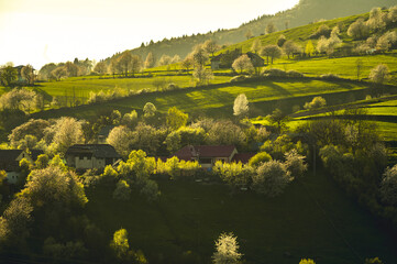 Spring landscape in Slovakia. Polana region, Hrinova. Green spring rural hills landscape, fields, flowering trees, organic farming © Zedspider