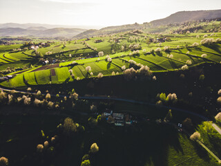 Spring landscape in Slovakia. Polana region, Hrinova. Green spring rural hills landscape, fields, flowering trees, organic farming © Zedspider