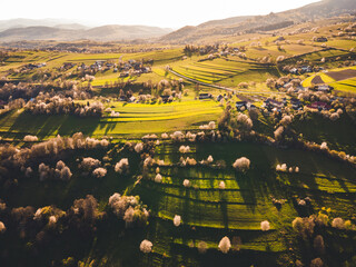 Spring landscape in Slovakia. Polana region, Hrinova. Green spring rural hills landscape, fields, flowering trees, organic farming © Zedspider
