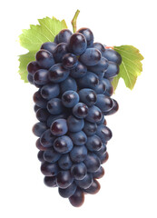 Bunch of grapes on a white background