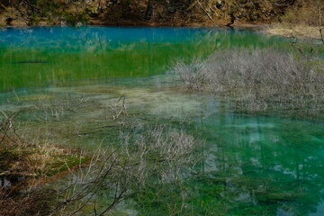 福島県　裏磐梯五色沼湖畔の風景　美しき青沼