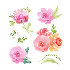 botanical set with watercolor rose flowers and plants isolated on white background hand painted