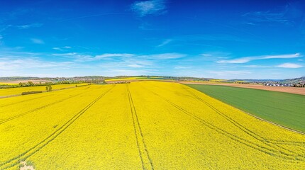 Aerial drone picture of rape field in spring in typical bright yellow color