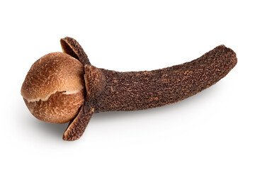 Dry spice cloves isolated on white background with clipping path and full depth of field.