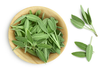 fresh sage herb in wooden bowl isolated on white background with clipping path and full depth of field, Top view. Flat lay