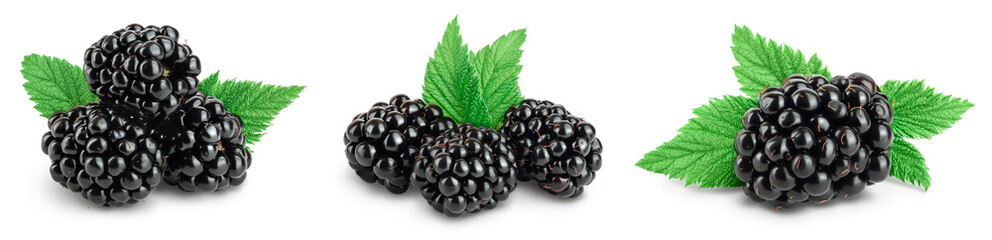 blackberry with leaf isolated on a white background closeup with full depth of field. Set or collection