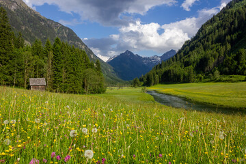 The Untertal valley with the untertalbach river during springtime (Rohrmoos, Austria)