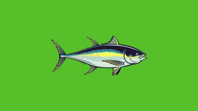 fish tuna