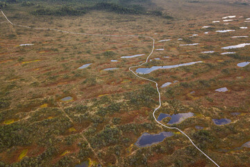 Aerial view of swamp and wooden path in Kemeri national park during sunrise, Latvia.