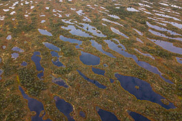 Aerial view of swamp and wooden path in Kemeri national park during sunrise, Latvia.