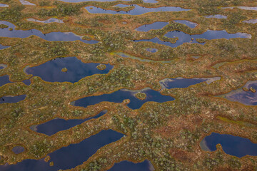 Aerial view of swamp and wooden path in Kemeri national park during sunrise, Latvia.