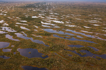 Aerial view of swamp and wooden path in Kemeri national park during sunrise, Latvia.