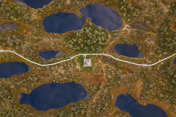 Aerial view of swamp and wooden path in Kemeri national park during sunrise, Latvia.