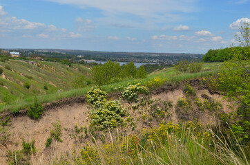 Beautiful huge green plains, field, grass, flowers, blue sky, white clouds. Nature, landscape.