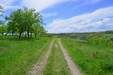 Fototapeta na wymiar Beautiful huge green plains, field, grass, flowers, blue sky, white clouds. Nature, landscape.