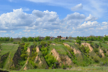 Beautiful huge green plains, field, grass, flowers, blue sky, white clouds. Nature, landscape.