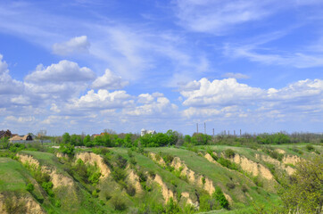 Fototapeta na wymiar Beautiful huge green plains, field, grass, flowers, blue sky, white clouds. Nature, landscape.