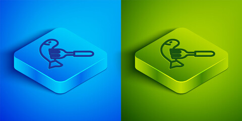 Isometric line Served fish on a plate icon isolated on blue and green background. Square button. Vector
