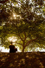 Meditating woman sitting under the shade of a tree in the park on a sunset