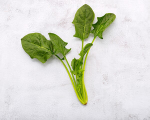  Fresh leaves of spinach setup on shabby concrete background with top view and copy space.