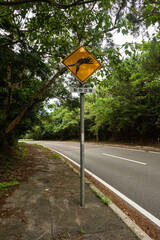 Traffic warning sign: "Be aware of animals". To be alert to the unexpected appearance of the Iriomote cat that is called Yamaneko (Prionailurus bengalensis iriomotensis). Iriomote Island. © Renata Barbarino