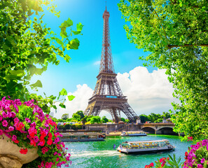 Fototapeta na wymiar Blossom in Paris