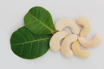 Cashew nuts with green leaf  on white background
