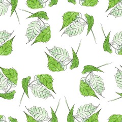 Watercolor seamless pattern of a green raspberry leaves. Cute aquarelle texture for bedding, fabric, wallpaper, wrapping paper, textile, t-shirt print