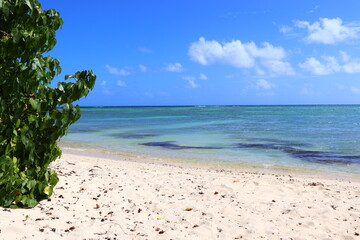 Paysages Point des Châteaux Guadeloupe Caraïbes Antilles Françaises