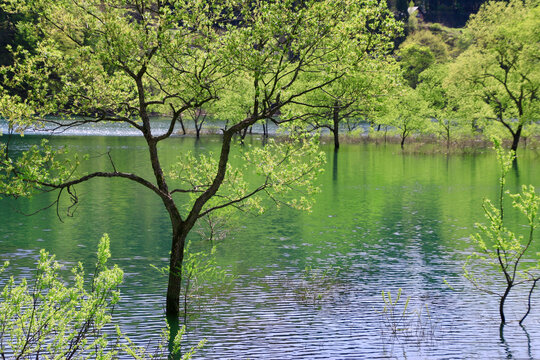 299 Best 白川湖 Images Stock Photos Vectors Adobe Stock 299 Best 白川湖 Images Stock Photos Vectors Adobe Stock