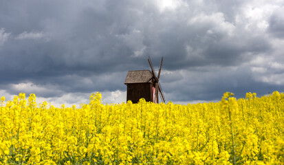 windmill in the rape field. storm clouds and sky