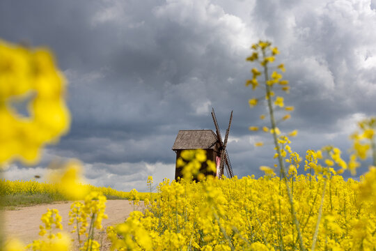 very old wooden windmill in rapseed field and sand road with dramatic storm clouds in background