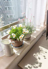 仕事の合間の息抜きに花を見る