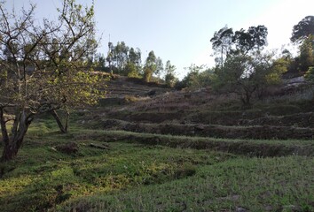 This is a hillside picture taken in kodaikanal hills.
