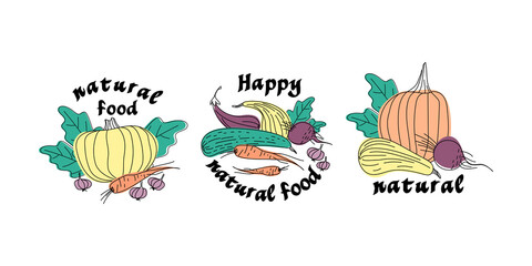 Set of stickers of vegetables drawn with live line. Pumpkin, zucchini, carrots, beets, eggplants, garlic are arranged in no particular order. Flat vector illustration.
