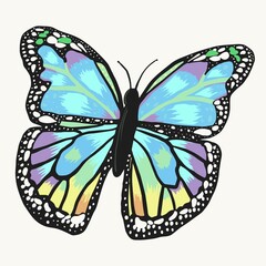 Butterfly beautiful isolated on white background. Hand drawn illustration design element.