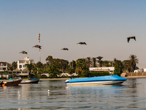 Paracas National Reserve
