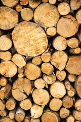 Detail view a big pile of trunks, trees. Closeup of wooden trunks. in nature. Wooden background. Log background