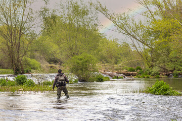 Obraz na płótnie Canvas fisherman on his back with camouflage suit and high rubber boots wading the river with fishing rod in a stream with a small waterfall and mountains in the background