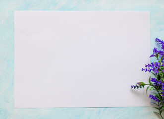 White sheet of paper on a blue background with a sprig of blue lavender. Place for your text. Advertising, invitation