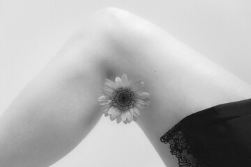 legs, black and white flower