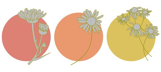 Vector icons for relevant stories. Stickers with flowers. 
