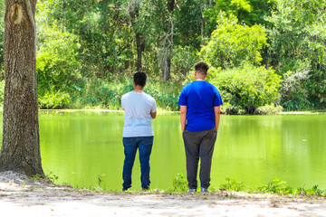 Green lake in the woods