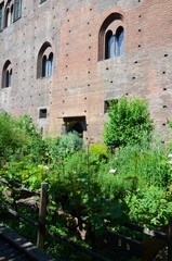 Fototapeta premium The garden in Palazzo Madama, Turin