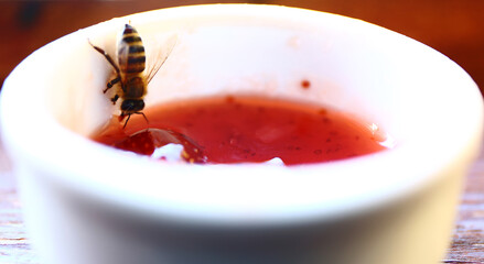 Honey bee collects some jam for producing honey.